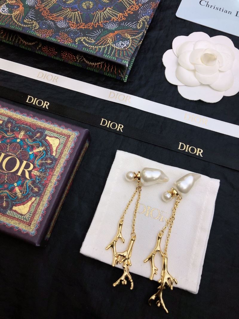 Christian Dior Earrings